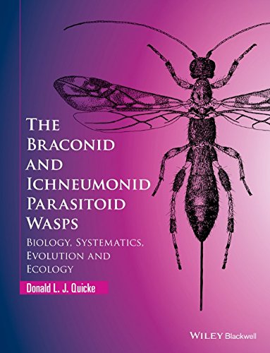 The Braconid And Ichneumonid Parasitoid Wasps Biology Systematics Evolution And Ecology 1st Edition Donald L J Quicke