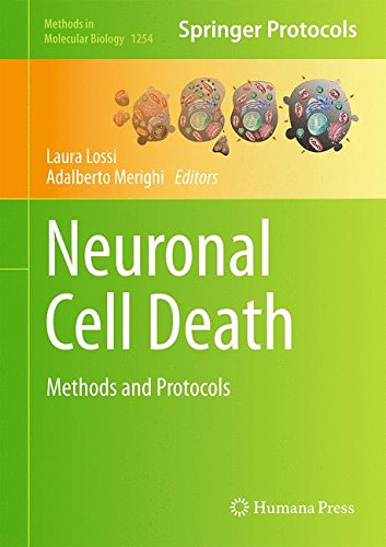 Neuronal Cell Death Methods And Protocols 1st Edition Laura Lossi
