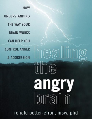 Healing The Angry Brain How Understanding The Way Your Brain Works Can Help You Control Anger And Aggression Ronald Potterefron Msw Phd