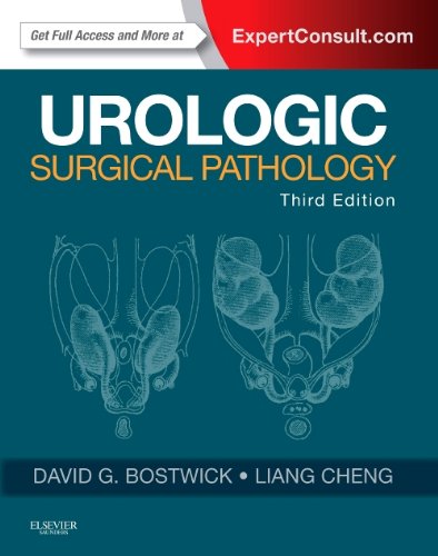 Urologic Surgical Pathology Expert Consult 3e 3rd Edition David G Bostwick Md Mba Fcap