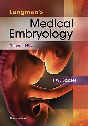 Langmans Medical Embryology Thirteenth North American Edition T W Sadler