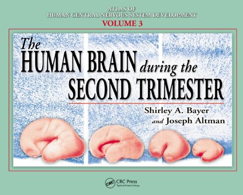 Atlas Of Human Central Nervous System Development 5 Volume Set The Human Brain During The Second Trimester 1st Edition Shirley A Bayer