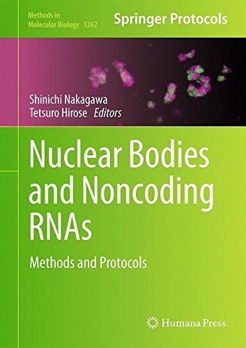 Nuclear Bodies And Noncoding Rnas Methods And Protocols 1st Edition Shinichi Nakagawa