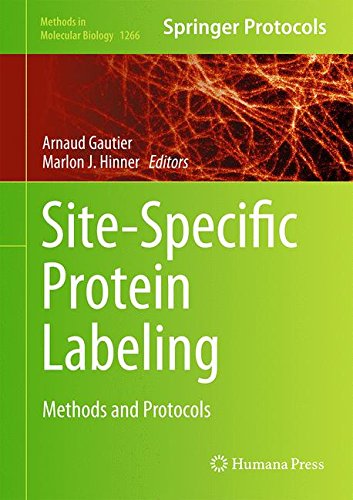 Sitespecific Protein Labeling Methods And Protocols 1st Edition Arnaud Gautier