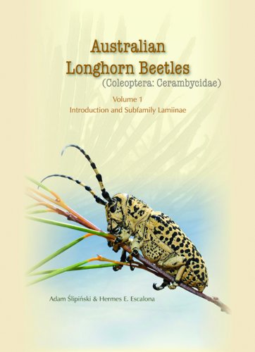 Australian Longhorn Beetles Coleoptera Cerambycidae Volume 1 Stanisaw Adam Slipinski Hermes E Escalona