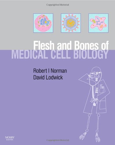 Flesh And Bones Of Medical Cell Biology 1st Edition Robert I Norman David Lodwick