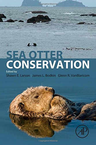 Sea Otter Conservation 1st Edition Shawn E Larson James L Bodkin