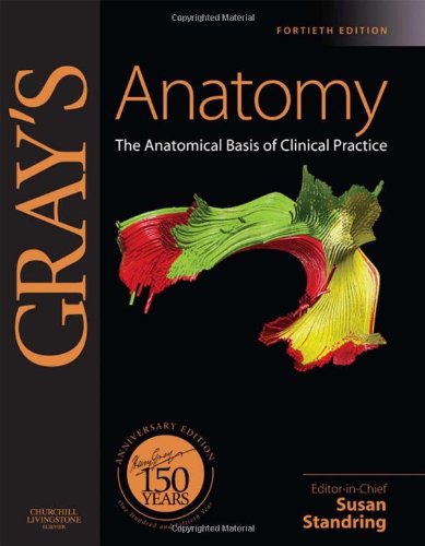 Grays Anatomy The Anatomical Basis Of Clinical Practice Expert Consult Online And Print 40e 40th Edition Susan Standring Phd Dsc