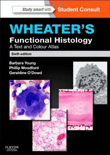Wheaters Functional Histology A Text And Colour Atlas 6th Edition Barbara Young