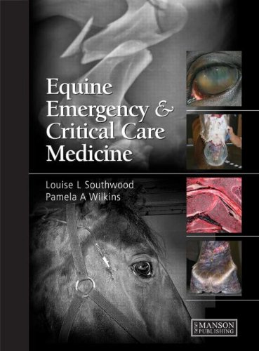 Equine Emergency And Critical Care Medicine 1st Edition Louise Southwood