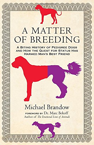 A Matter Of Breeding A Biting History Of Pedigree Dogs And How The Quest For Status Has Harmed Mans Best Friend Michael Brandow