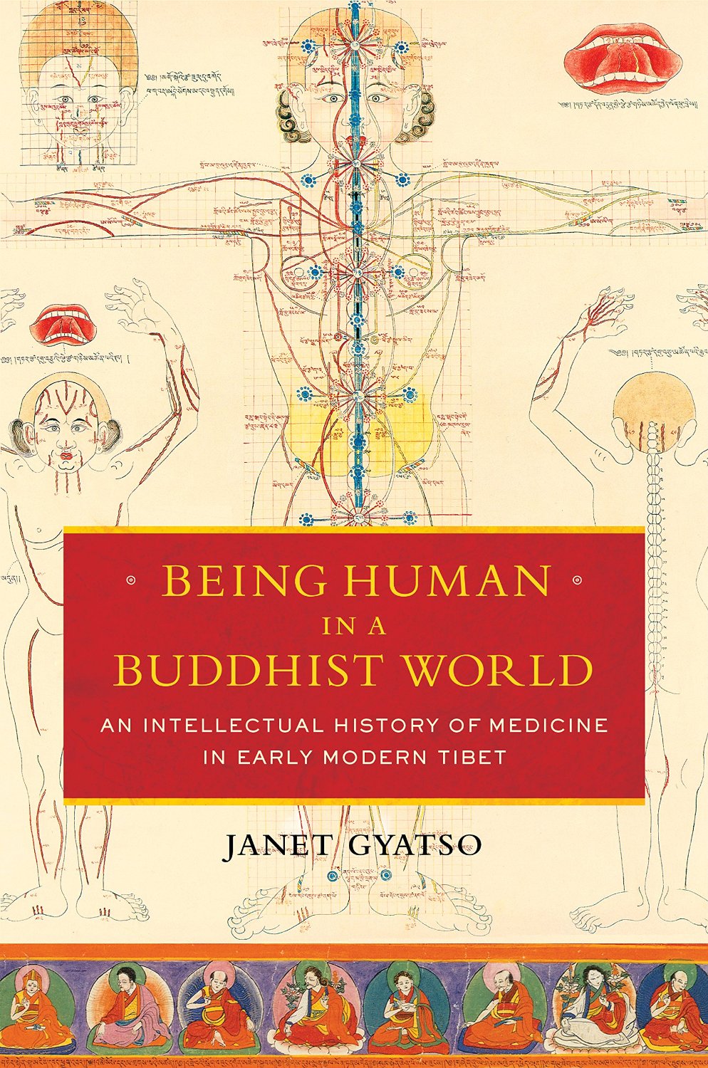 Being Human In A Buddhist World An Intellectual History Of Medicine In Early Modern Tibet Janet Gyatso