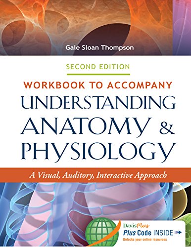 Workbook To Accompany Understanding Anatomy Physiology A Visual Auditory Interactive Approach 2nd Edition Gale Sloan Thompson Rn