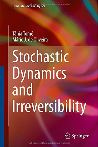 Stochastic Dynamics And Irreversibility 1st Edition Tnia Tom