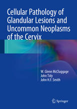 Cellular Pathology Of Glandular Lesions And Uncommon Neoplasms Of The Cervix 1st Edition W Glenn Mccluggage