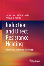 Induction And Direct Resistance Heating Theory And Numerical Modeling 1st Edition Sergio Lupi