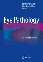 Eye Pathology An Illustrated Guide 1st Edition Steffen Heegaard