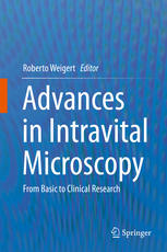 Advances In Intravital Microscopy From Basic To Clinical Research 1st Edition Roberto Weigert Eds