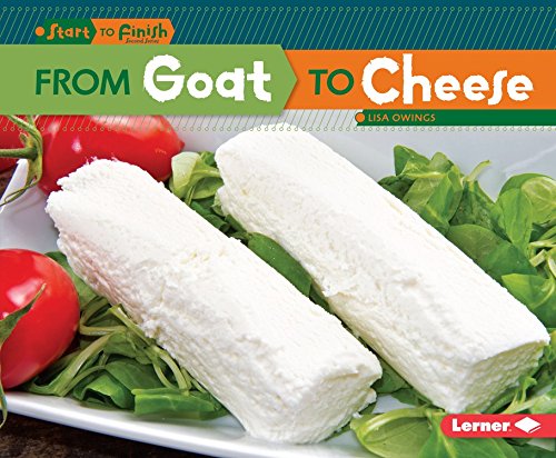 From Goat To Cheese Lisa Owings