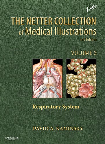 The Netter Collection Of Medical Illustrations Respiratory System Volume 3 2nd Edition David Kaminsky Md