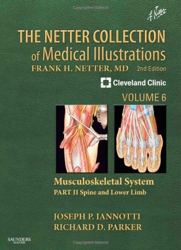 The Netter Collection Of Medical Illustrations Musculoskeletal System Volume 6 Part Ii Spine And Lower Limb 2nd Joseph P Iannotti