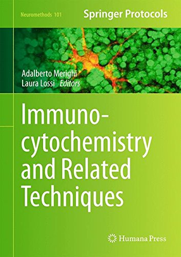 Immunocytochemistry And Related Techniques 1st Edition Adalberto Merighi