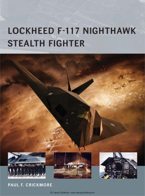 Lockheed F117 Nighthawk Stealth Fighter Paul Crickmore