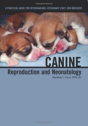 Canine Reproduction And Neonatology 1 Spi Marthina L Greer