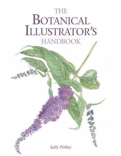 The Botanical Illustrators Handbook Sally Pinhey