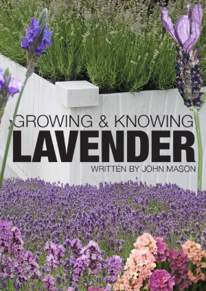 Growing Knowing Lavender John Mason Acs Distance Education Staff
