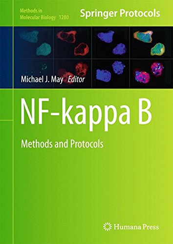 Nfkappa B Methods And Protocols 1st Edition Michael J May Eds
