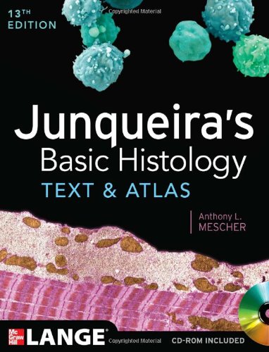 Junqueiras Basic Histology Text And Atlas 13 Th Anthony Mescher