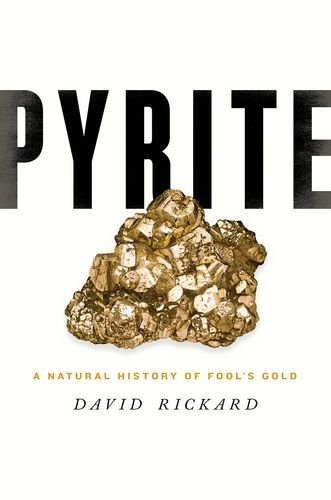 Pyrite A Natural History Of Fools Gold David Rickard