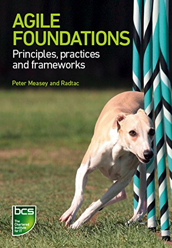 Agile Foundations Principles Practices And Frameworks Richard Levy