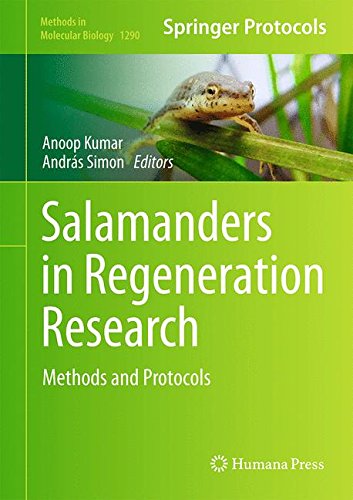 Salamanders In Regeneration Research Methods And Protocols 1st Edition Anoop Kumar