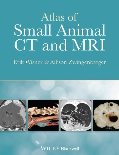 Atlas Of Small Animal Ct And Mri 1st Edition Erik Wisner Allison Zwingenberger