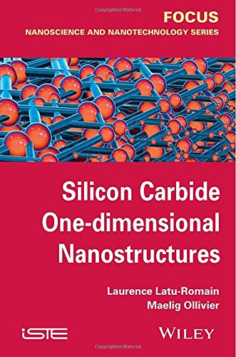 Silicon Carbide Onedimensional Nanostructures 1st Edition Laurence Laturomain