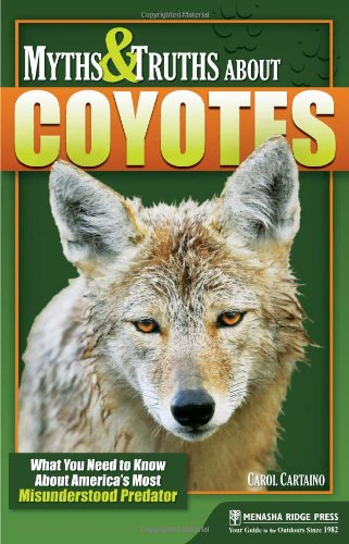 Myths And Truths About Coyotes What You Need To Know About Americas Most Misunderstood Predator Carol Cartaino