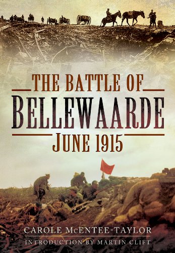 The Battle Of Bellewaarde June 1915 Carole Mcenteetaylor