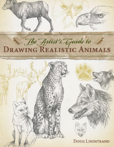 The Artists Guide To Drawing Realistic Animals Doug Lindstrand