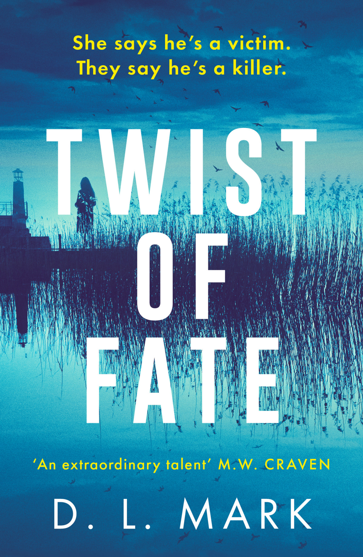 Twist Of Fate Dl Mark