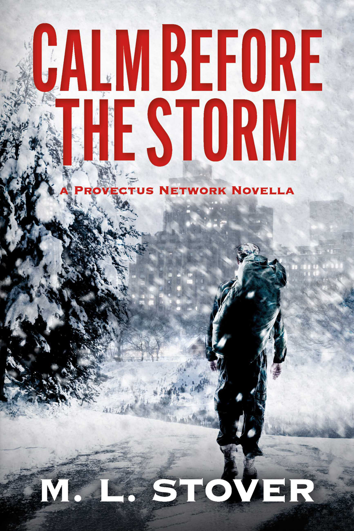 Calm Before The Storm M L Stover