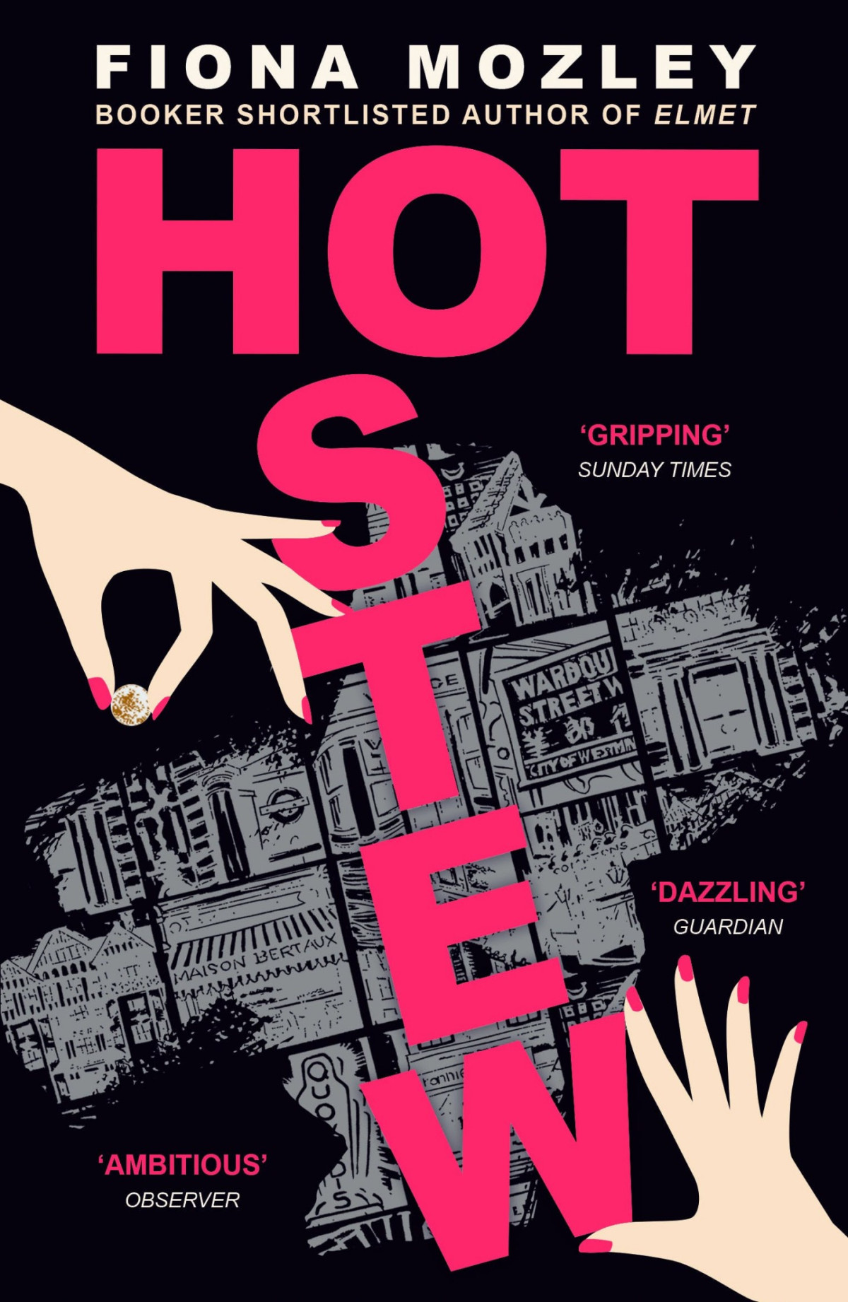 Hot Stew Fiona Mozley