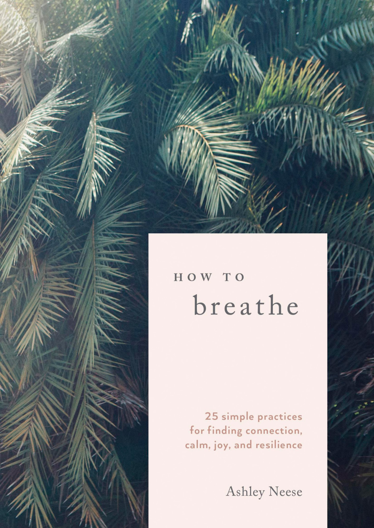 How To Breathe 25 Simple Practices For Calm Joy And Resilience Ashley Neese