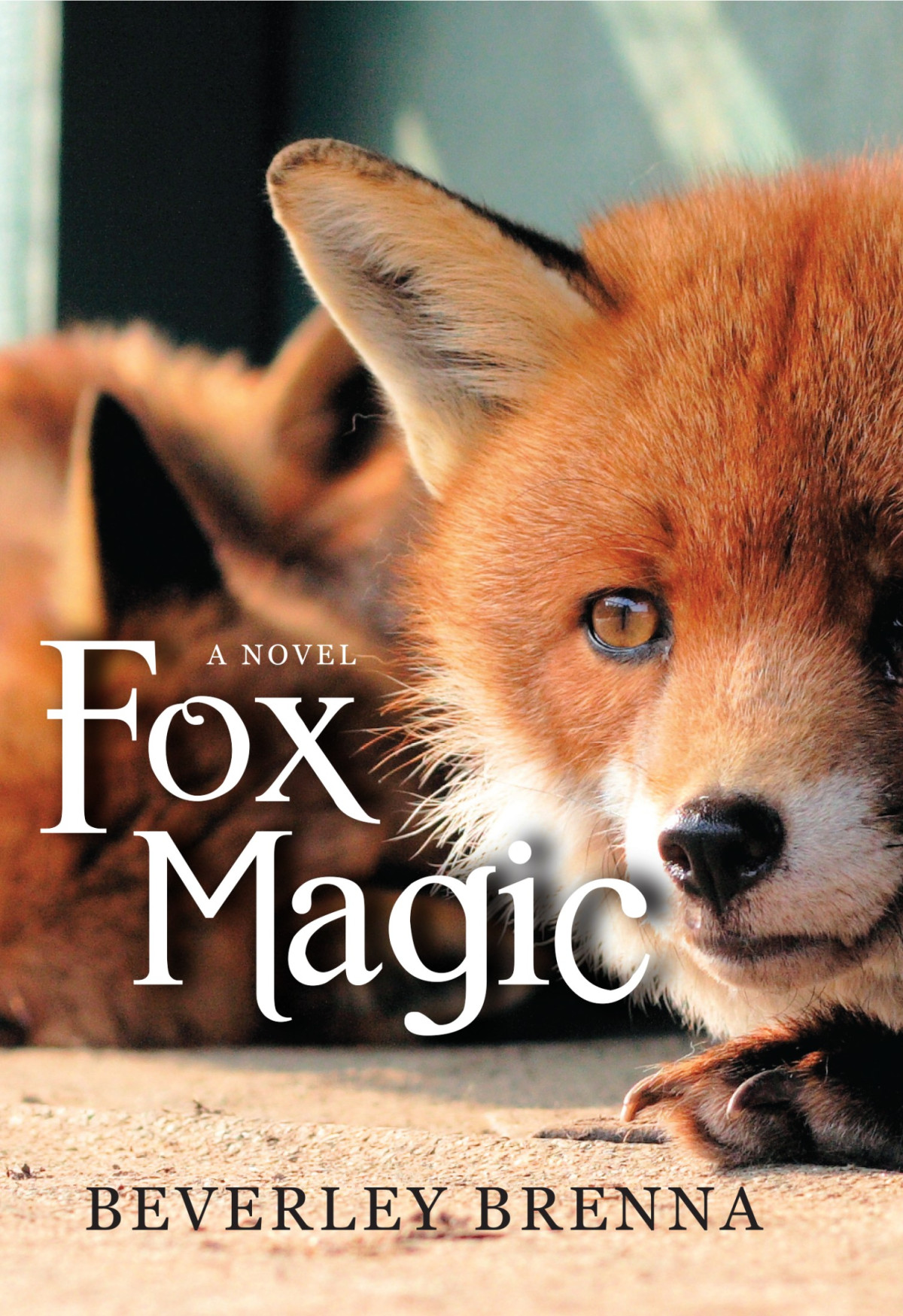 Fox Magic Beverley Brenna