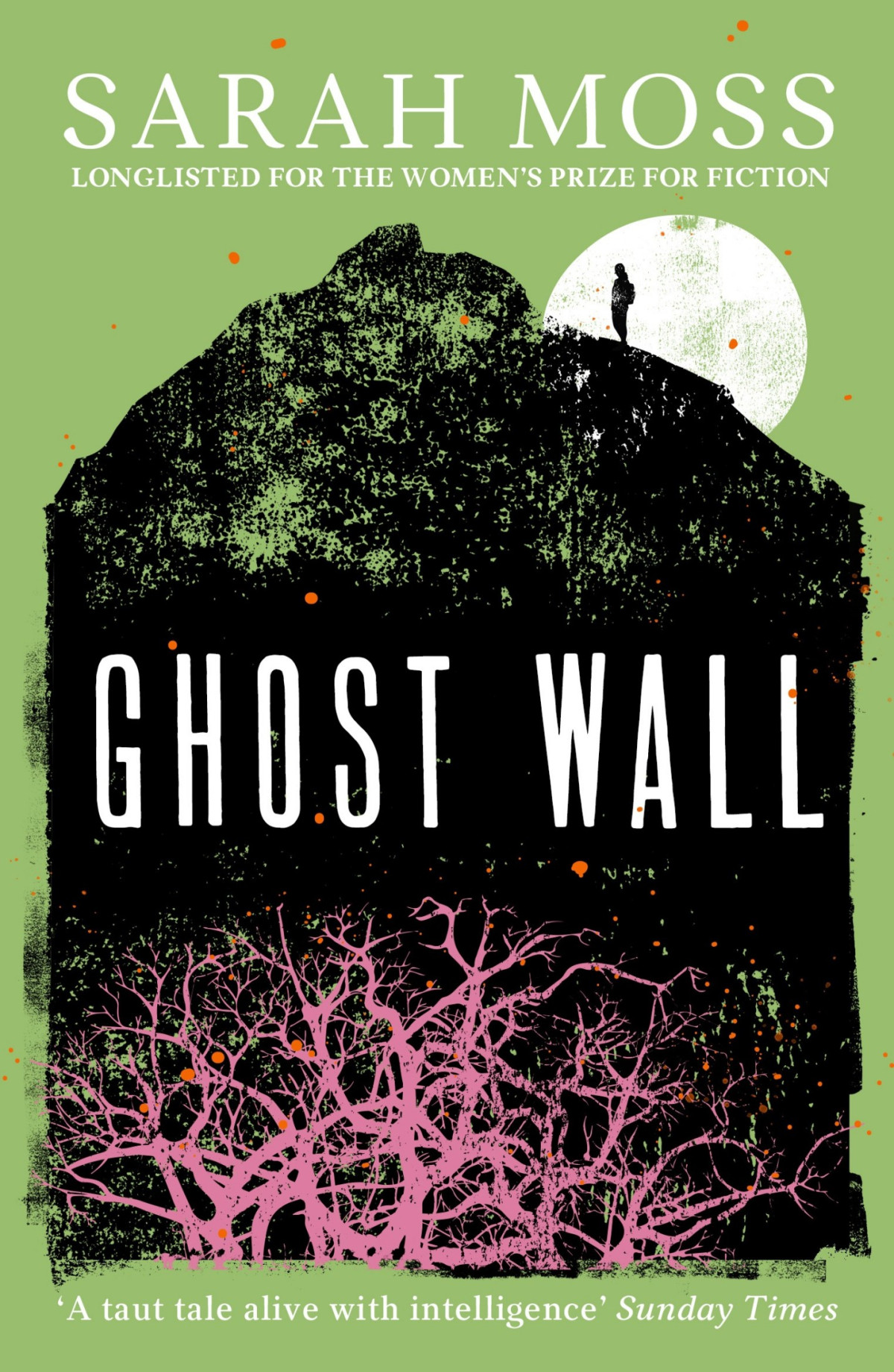 Ghost Wall Sarah Moss