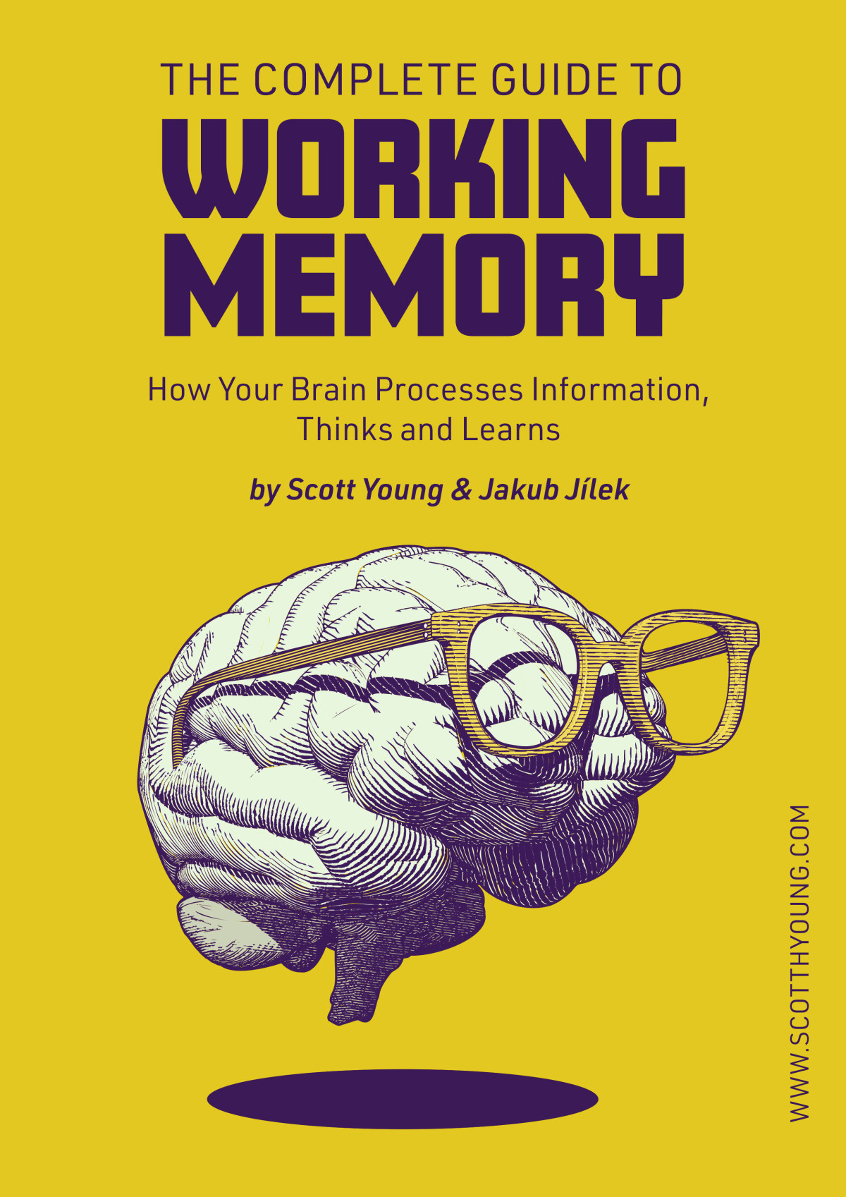 The Complete Guide To Working Memory Scott H Young Jakub Jlek