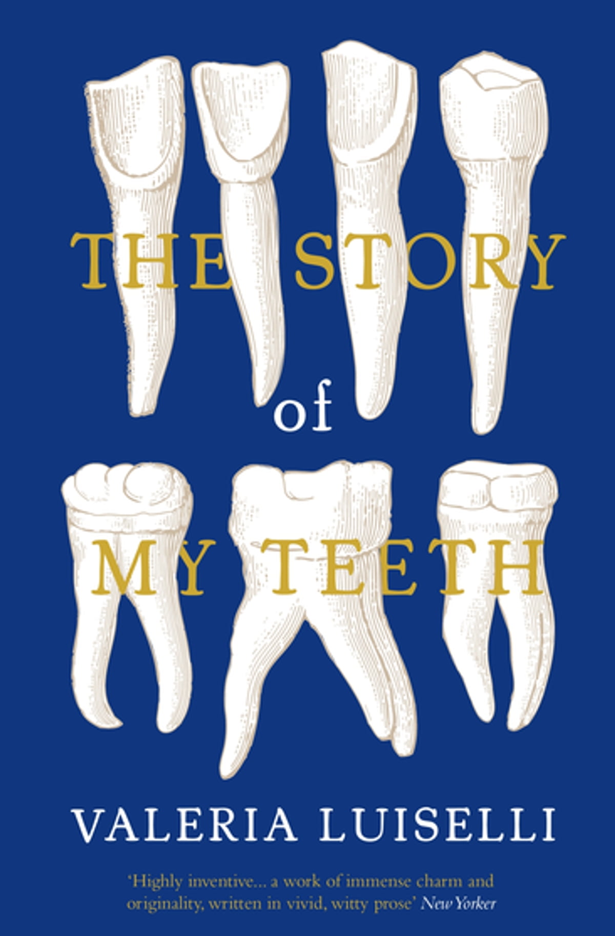 The Story Of My Teeth Valeria Luiselli Christina Macsweeney