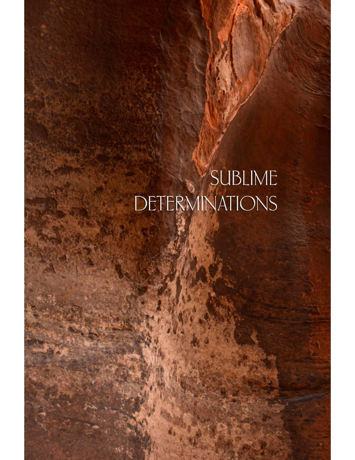 Sublime Determinations A Retreat On The Brahmavihras Hnissaro Bhikkhu