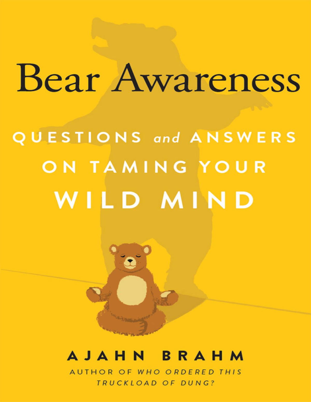 Bear Awareness Brahm